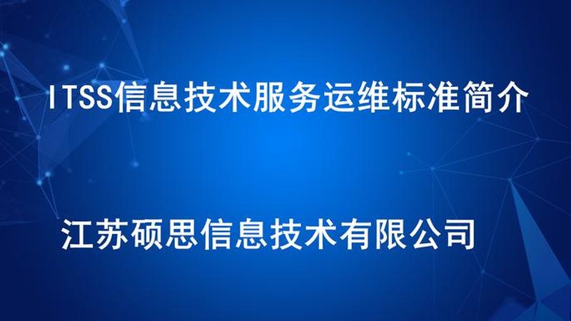 信息技术服务合同费用明细：别让模糊条款吃掉利润